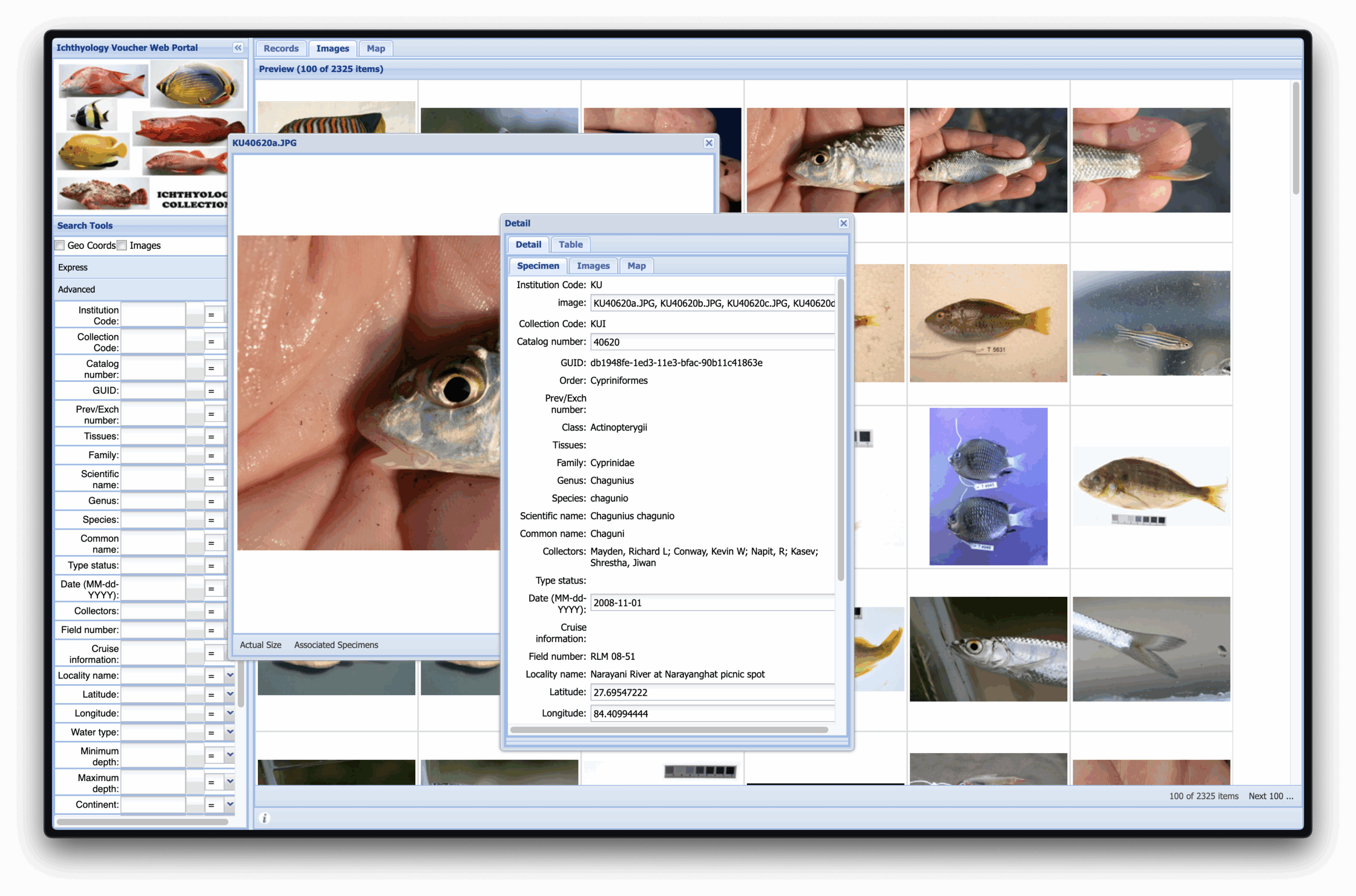 Web Portal
